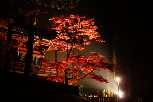 世界遺産「日光の社寺」にて「ライトアップNIKKO 2023」が開催されます