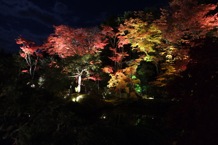 日光山輪王寺『逍遥園ライトアップ』開催のお知らせ