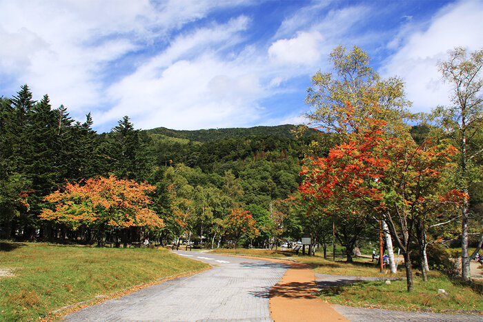 奥日光をゆるりと味わう秋のプチハイク