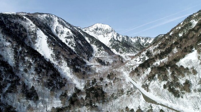 東武バス　冬季ダイヤ運行
